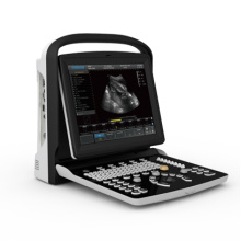 Échographie ultrasonique Scanner noir blanc Doppler portable Portable (SC-ECO3)
